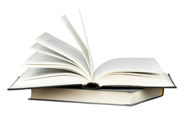 文章合为时而著,歌诗合为事而作是哪个诗派